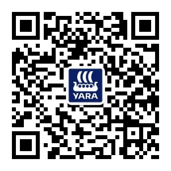 如果您现在是用电脑阅读此页，请用您的微信中”扫一扫“功能扫描左侧的二维码来关注”雅苒中国“微信公共账号。 