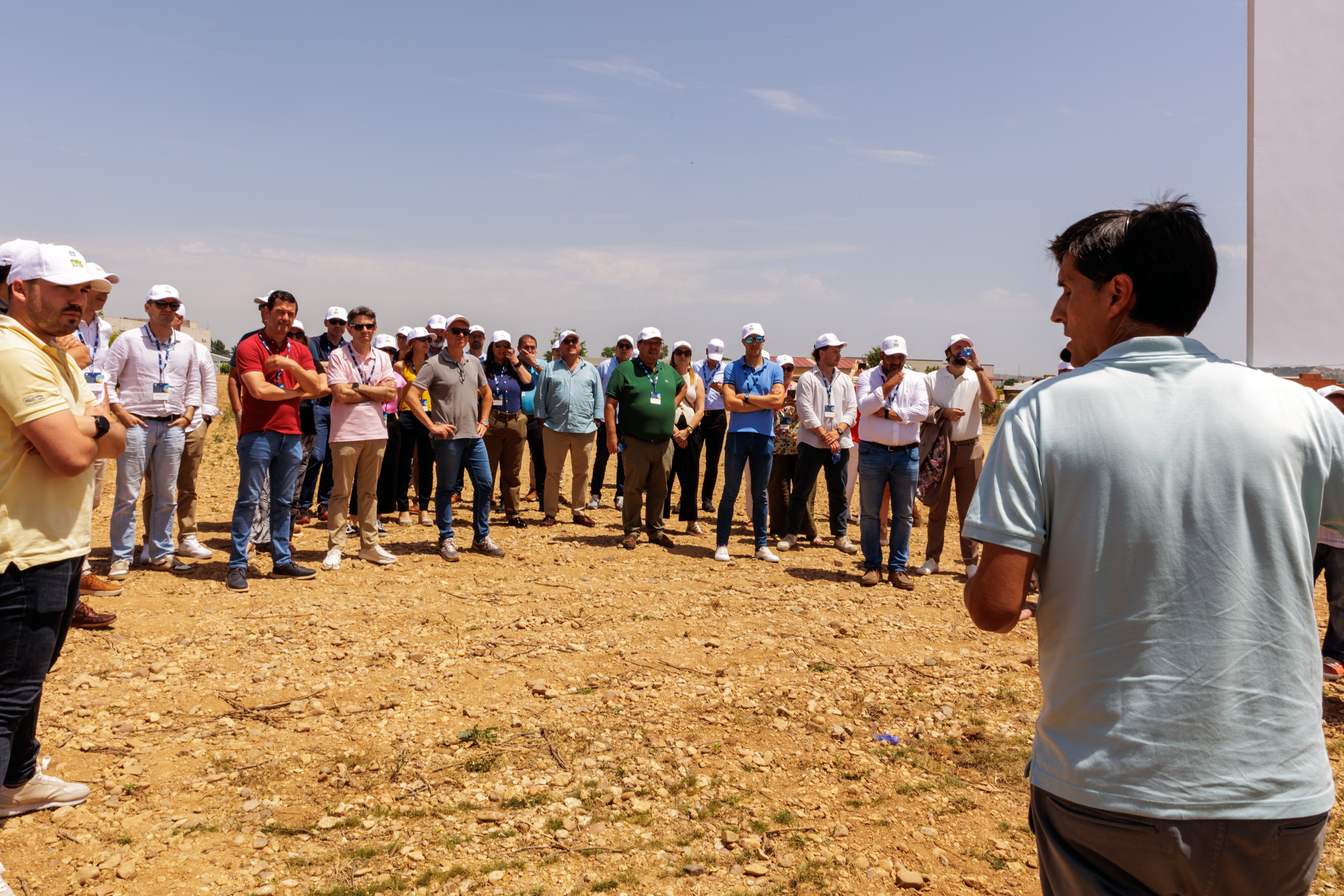 雅苒IFA审计证书